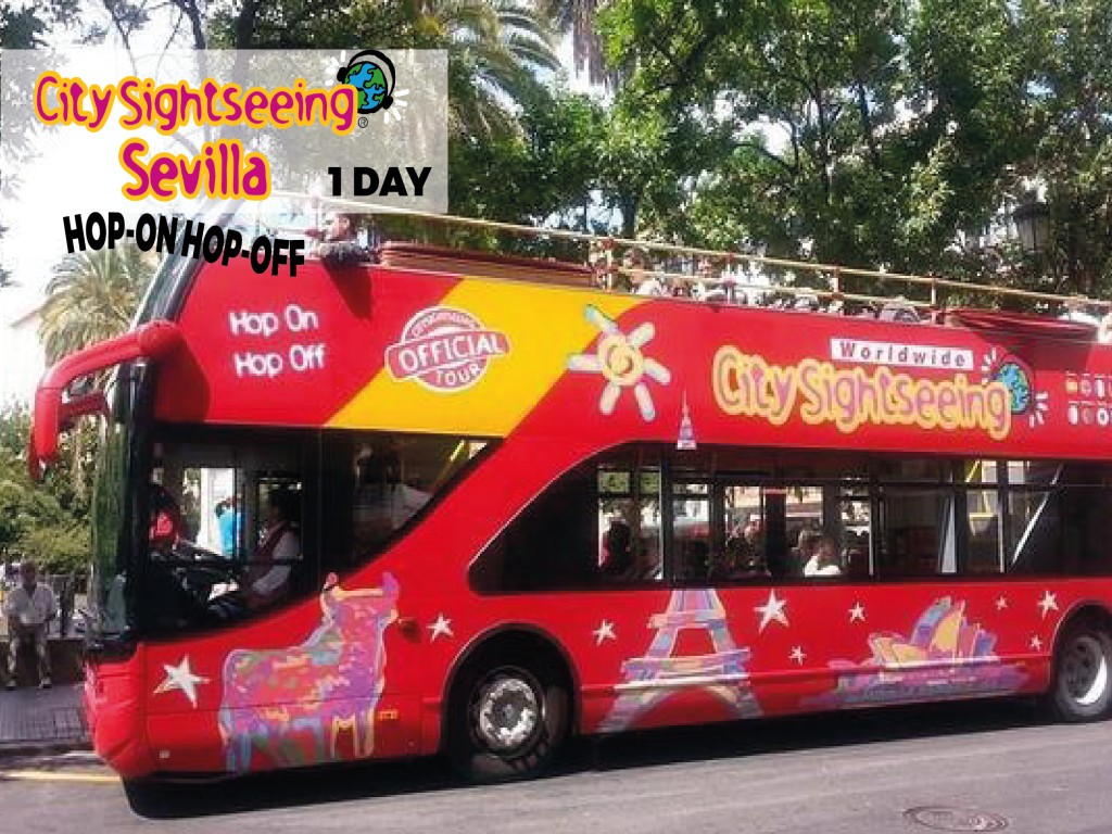 24h Seville Bus Ticket
