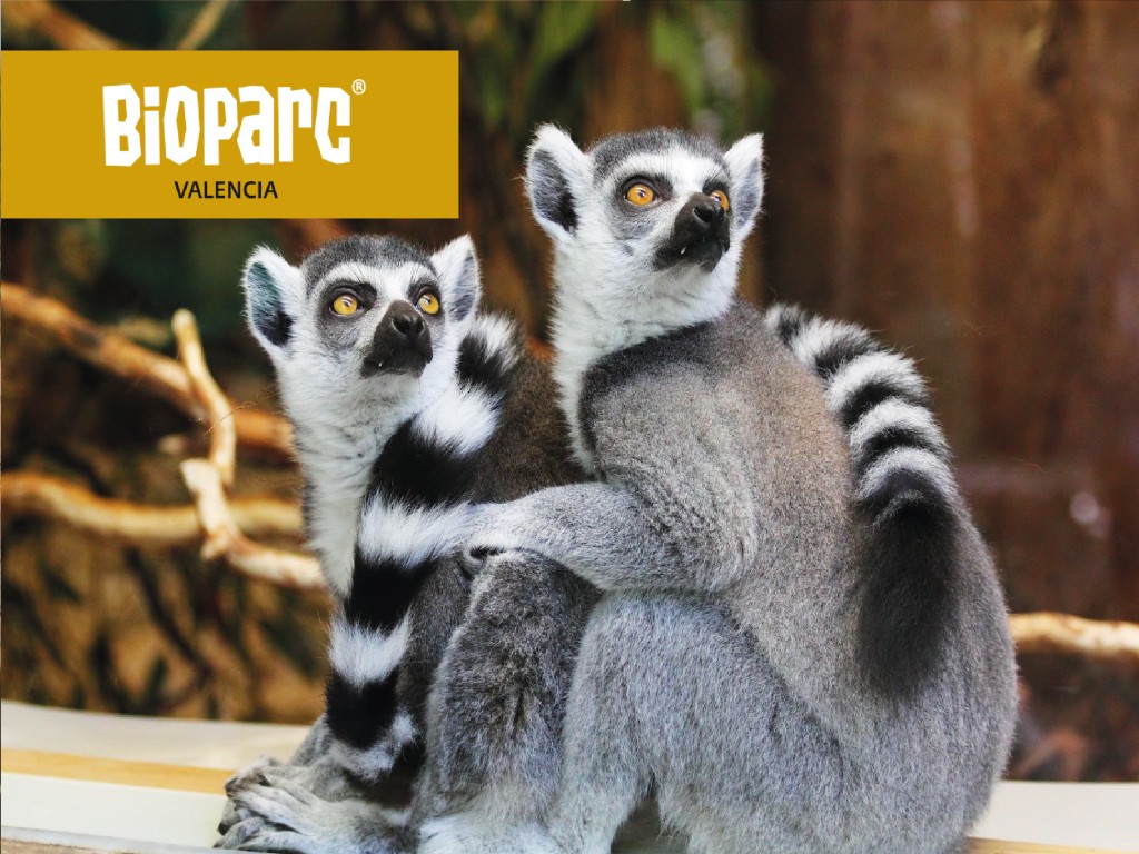 Bioparc Tickets&nbsp;