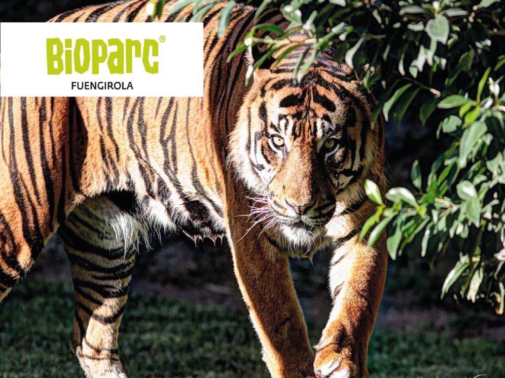 Bioparc Fuengirola
